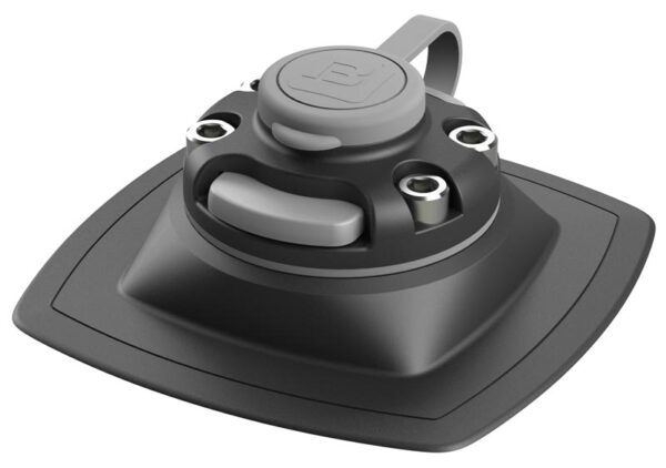 FMp224-x-1