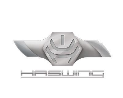 Haswing-AI-Converted