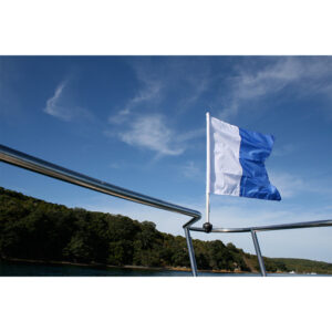 Railblaza Flagstock
