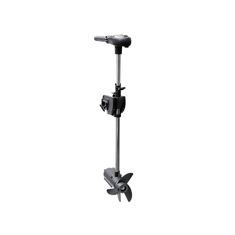 Haswing Protruar 3.0 / 900W 12V Brushless