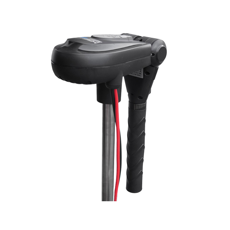 Haswing Protruar 3.0 / 900W 12V Brushless