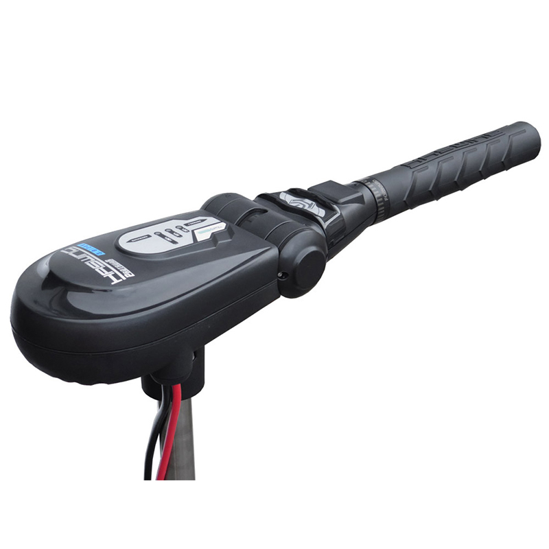 Haswing Protruar 3.0 / 900W 12V Brushless