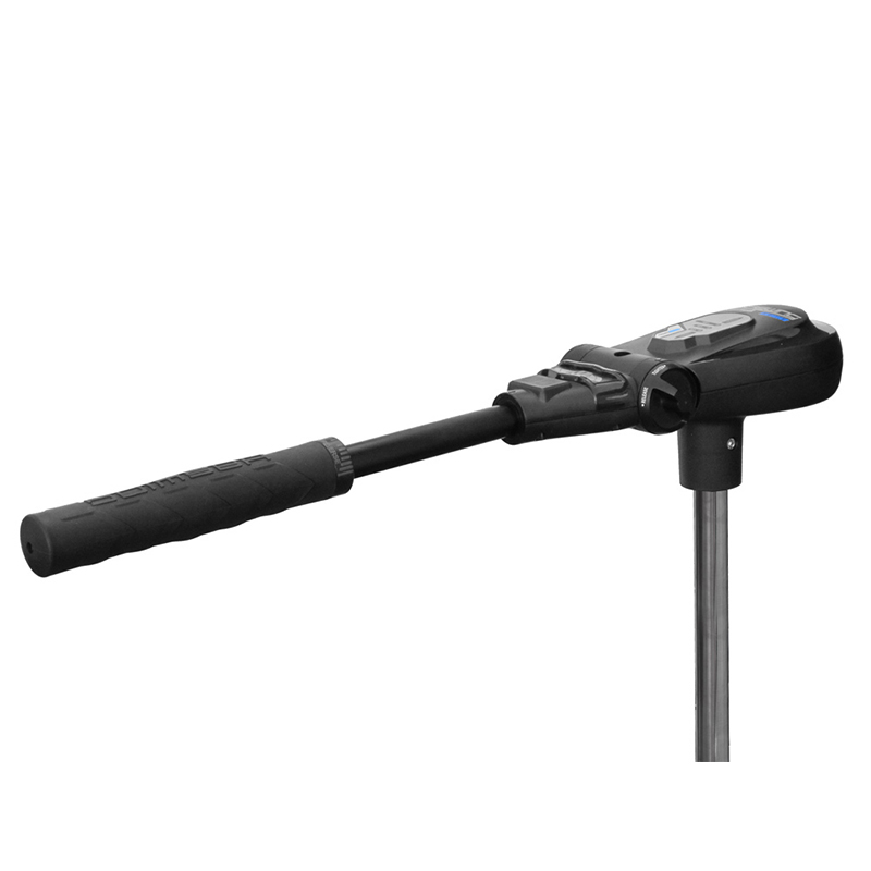 Haswing Protruar 3.0 / 900W 12V Brushless