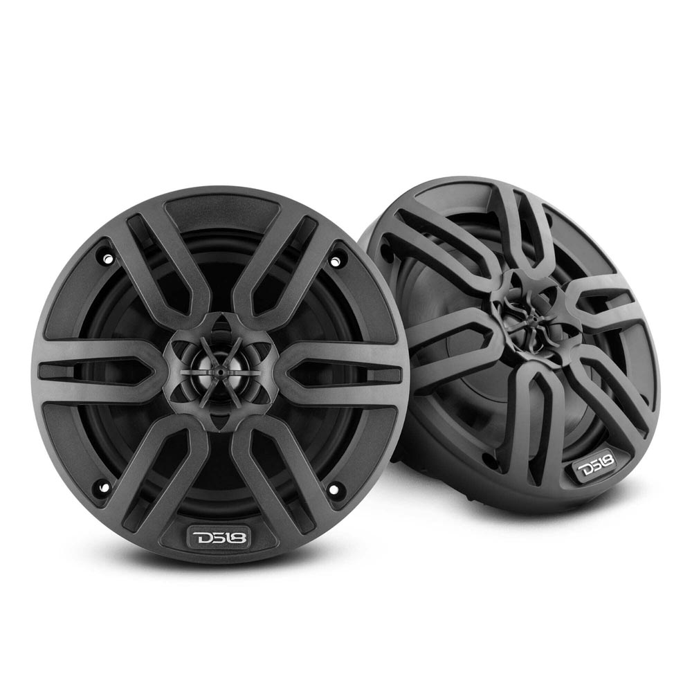 DS18 Lautsprecher 6,5" schwarz / MP6/BK